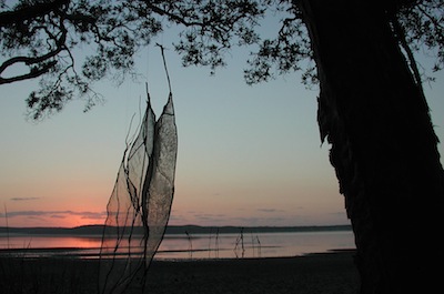 Net Pods with Warriors & Orange Sky.